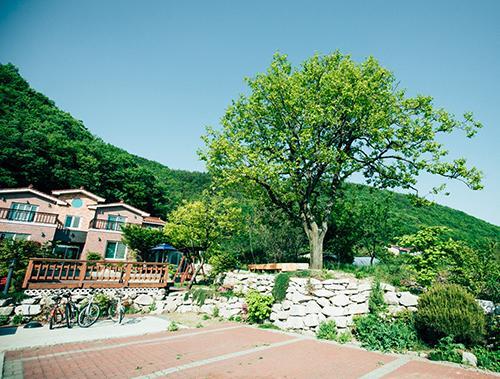 Utopia Pension Кёнджу Экстерьер фото